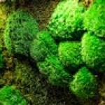 Fotka uživatele Agáta Indrová