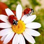 Fotka uživatele ... ....